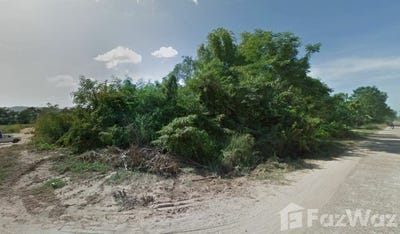 /international/th/ทางหลวงชนบท-นพ-3023-นางัว-บ้านแพง-นครพนม-48140-ประเทศไทย-บ้านแพง-340105544251/