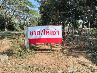/international/th/72-31-ถนน-สันโค้งหลวง-ซอย-7-2-หมู่ที่-4-รอบเวียง-เชียงราย-57000-ประเทศไทย-เชียงราย-340105623684/