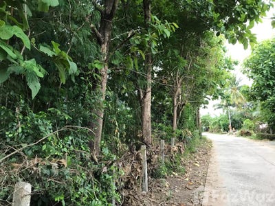 /international/th/บ้านสวายสอ-สวายจีก-บุรีรัมย์-31000-ประเทศไทย-บุรีรัมย์-340105568797/