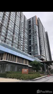 /international/th/ralph-international-co-ltd-fuse-sense-bang-khae-142-417-phutthamonthon-sai-2-rd-bang-khae-nuea-bang-khae-bangkok-10160-tha-bang-khae-nuea-bangkok-340105678467/