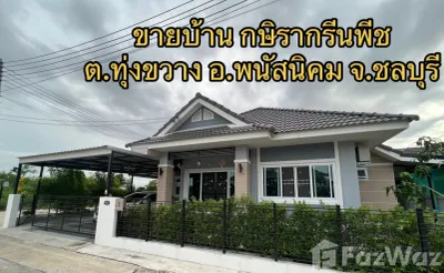 /international/th/mangmee-cats-farm-nong-bon-daeng-ban-bueng-chon-buri-20170-thailand-ban-bueng-phichit-340105548939/