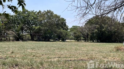 /international/th/n-fast-racing-service-85-21-ถนนบางนา-ตราด-bang-chalong-amphoe-bang-phli-samut-prakan-province-10540-tha-bang-chalong-changwat-samut-prakan-340105579731/