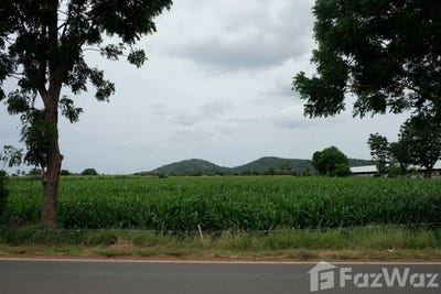 /international/th/f-siri-farm-หนองปลิง-เลาขวัญ-กาญจนบุรี-71210-ประเทศไทย-เลาขวัญ-340105592809/