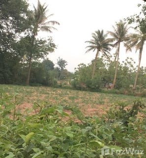 /international/th/ร้านรุ่งเรืองกิจ-หัวขวาง-โกสุมพิสัย-มหาสารคาม-44140-ประเทศไทย-โกสุมพิสัย-maha-sarakham-340105591851/