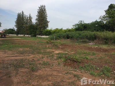 /international/th/280-24-บ้านผาสุข-หมู่ที่-5-เมืองเก่า-ขอนแก่น-40000-ประเทศไทย-ขอนแก่น-340105595562/