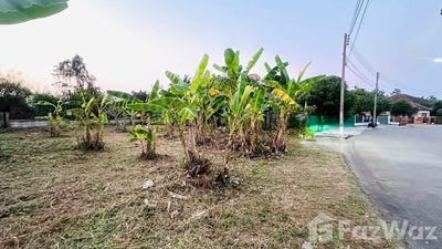 /international/th/118-muthi-4-san-na-meng-san-sai-chiang-mai-50210-thailand-san-sai-chiang-rai-340105602366/
