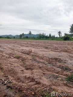 /international/th/ทางหลวงชนบท-พบ-4002-เขากระปุก-ท่ายาง-เพชรบุรี-76130-ประเทศไทย-ท่ายาง-340105565643/