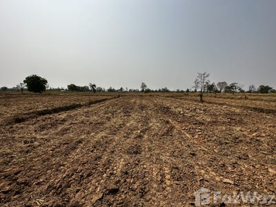 /international/th/บ้านหนองมะเกลือ-หนองตาด-บุรีรัมย์-31000-ประเทศไทย-บุรีรัมย์-340105595472/