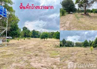/international/th/59-1-บ้านศรีเชียงใหม่-นาดี-อุดรธานี-41000-ประเทศไทย-อุดรธานี-340105549549/