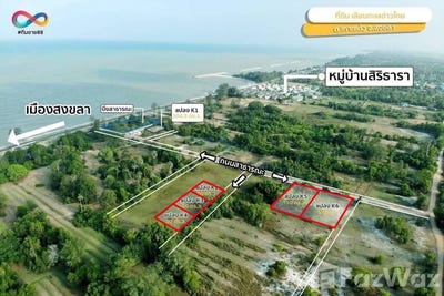 /international/th/67-1-ซอย-1-บ้านด่าน-หมู่-4-เกาะแต้ว-สงขลา-90000-ประเทศไทย-สงขลา-340105545877/