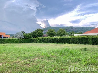 /international/th/nong-hiang-bo-fai-rd-hin-lek-fai-hua-hin-prachuap-khiri-khan-77110-tha-hin-lek-fai-prachuap-khiri-khan-340105584529/