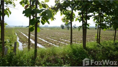 /international/th/ถนน-พหลโยธิน-บ้านต๊ำ-พะเยา-56000-ประเทศไทย-พะเยา-340105588250/