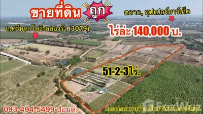/international/th/3079-กรอกสมบูรณ์-ศรีมหาโพธิ-ปราจีนบุรี-25140-ประเทศไทย-ศรีมหาโพธิ-340105582945/