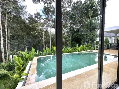 /international/th/82130-takua-thung-phangnga-tha-n-a-phang-nga-340105584810/