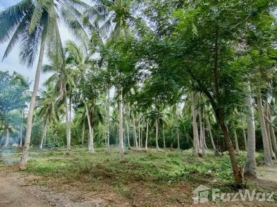 /international/th/บ้านแสนอารีนา-รีสอร์ท-บางขันแตก-สมุทรสงคราม-75000-ประเทศไทย-สมุทรสงคราม-340105616440/