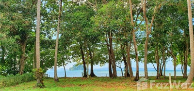 /international/th/หาดธาเลน-เขาทอง-กระบี่-81000-ประเทศไทย-กระบี่-krabi-340105548057/