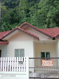 /international/th/41-ชะมาย-ทุ่งสง-นครศรีธรรมราช-80110-ประเทศไทย-ทุ่งสง-340105573553/