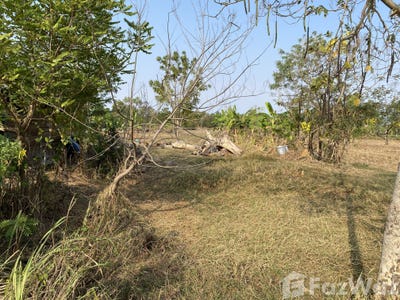 /international/th/ทางหลวงชนบท-บร-3021-ชุมเห็ด-บุรีรัมย์-31000-ประเทศไทย-บุรีรัมย์-340105594814/
