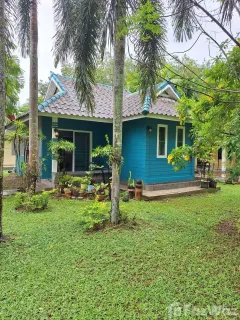 /international/th/15-km-highway-402-mai-khao-thalang-phuket-83110-tha-mai-khao-phuket-province-340105599169/
