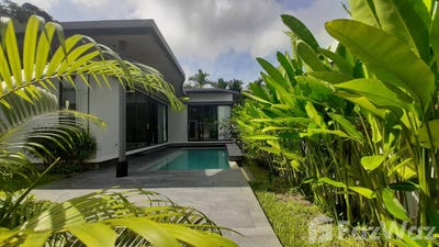 /international/th/62-37-moo-3-sakhu-thalang-phuket-83110-tha-sakhu-phuket-province-340105587328/