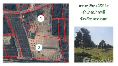 /international/th/บ้านหนองหัวเสือ-โคกกรวด-ปากพลี-นครนายก-26130-ประเทศไทย-ปากพลี-340105542724/