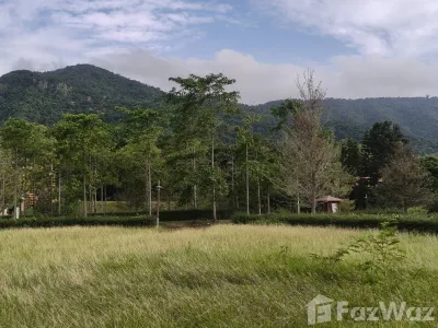 /international/th/106-343-rural-road-3052-pong-ta-long-pak-chong-nakhon-ratchasima-30130-thailand-pak-chong-phetchabun-340108056324/