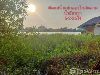/international/th/ดิ-ออร์คิด-ฟาร์ม-บางช้าง-อัมพวา-สมุทรสงคราม-75110-ประเทศไทย-อัมพวา-340105598570/