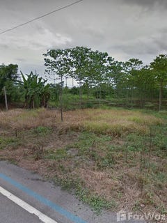 /international/th/ทางหลวงชนบท-ลพ-3019-นครเจดีย์-ป่าซาง-ลำพูน-51120-ประเทศไทย-ป่าซาง-340105590989/