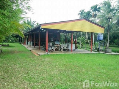 /international/th/สวนพร้าวบ้านคิว-ท่ายาง-ชุมพร-86000-ประเทศไทย-ชุมพร-340105595812/