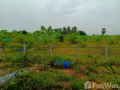 /international/th/ทางหลวงชนบท-พบ-4002-เขากระปุก-ท่ายาง-เพชรบุรี-76130-ประเทศไทย-ท่ายาง-340105555790/
