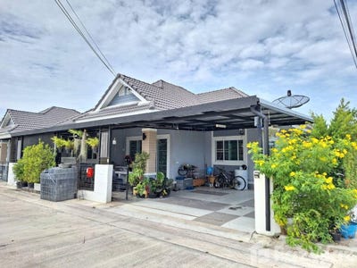 /international/th/mangmee-cats-farm-nong-bon-daeng-ban-bueng-chon-buri-20170-thailand-ban-bueng-phichit-340105543948/