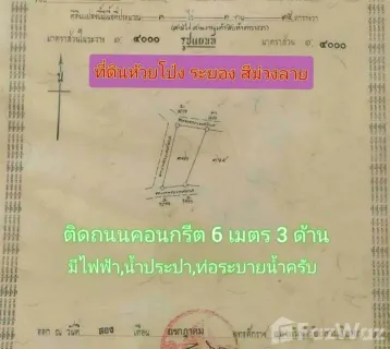 /international/th/31-50-หนองหว้า-หมู่ที่-1-ห้วยโป่ง-ระยอง-21150-ประเทศไทย-ระยอง-340105555628/