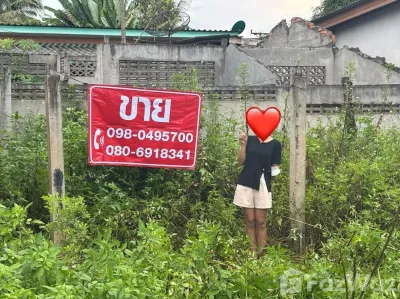 /international/th/ถนน-คลองหา-ควนสุบรรณ-บ้านนาสาร-สุราษฎร์ธานี-84120-ประเทศไทย-บ้านนาสาร-340105567516/