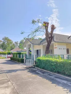 /international/th/soi-muban-ban-pachari-nong-khwai-hang-dong-chiang-mai-50230-tha-nong-khwai-chiang-mai-340106635789/