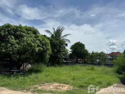 /international/th/288-ชุมเห็ด-บุรีรัมย์-31000-ประเทศไทย-บุรีรัมย์-340106081883/