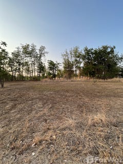 /international/th/ซอย-ธานีวิไล-หัวรอ-พิษณุโลก-65000-ประเทศไทย-พิษณุโลก-340105592249/