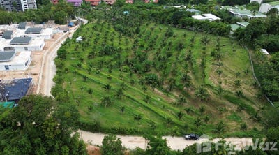 /international/th/suthin-electric-วงเวียนท้าวเทพกระษัตรีท้าวศรีสุนทร-ศรีสุนทร-ถลาง-ภูเก็ต-83110-ประเทศไทย-ถลาง-340105572340/