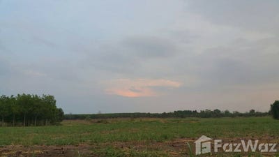 /international/th/3395-หนองน้ำใส-วัฒนานคร-สระแก้ว-27160-ประเทศไทย-วัฒนานคร-340105541578/