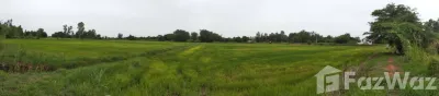 /international/th/บ้านหนองตะโก-หมู่ที่-11-วัดไทรย์-นครสวรรค์-60000-ประเทศไทย-นครสวรรค์-340105603126/