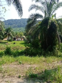 /international/th/กระบี่-81000-ประเทศไทย-กระบี่-krabi-340108647535/