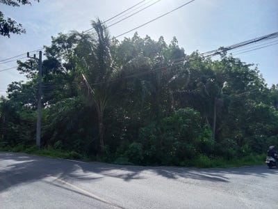 /international/th/4034-ไสไทย-กระบี่-81000-ประเทศไทย-กระบี่-krabi-340108788007/