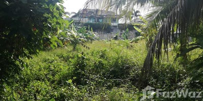 /international/th/highway-4027-thep-krasattri-thalang-phuket-83110-tha-thep-krasattri-phuket-340107067872/