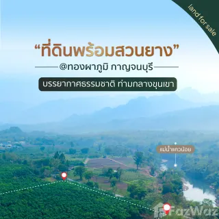 /international/th/ถนน-แสงชูโต-ท่าขนุน-ทองผาภูมิ-กาญจนบุรี-71180-ประเทศไทย-ทองผาภูมิ-340105582929/