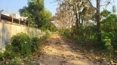 /international/th/ทางหลวงชนบท-ลพ-3002-ป่าสัก-ลำพูน-51000-ประเทศไทย-ลำพูน-340107222056/