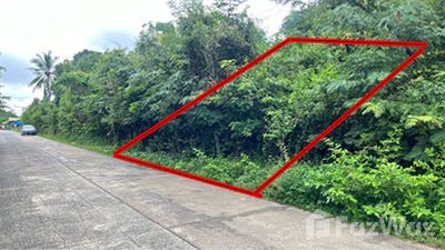 /international/th/ตรอกสกุลเงิน-ขามใหญ่-อุบลราชธานี-34000-ประเทศไทย-อุบลราชธานี-340105542468/