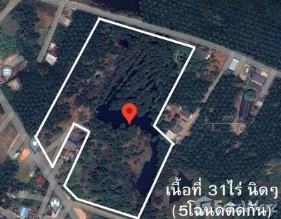 /international/th/186-11-อบจ-สฎ-40117-มะขามเตี้ย-สุราษฎร์ธานี-84000-ประเทศไทย-สุราษฎร์ธานี-340105591435/