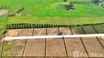 /international/th/50230-hang-dong-chiang-mai-tha-n-a-chiang-mai-province-340105572979/