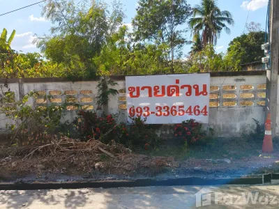 /international/th/รัตนการเกษตร-หนองโดน-ลำปลายมาศ-บุรีรัมย์-31130-ประเทศไทย-ลำปลายมาศ-340105911982/