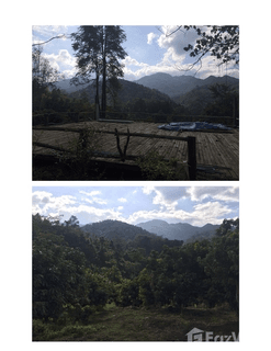 /international/th/โรงพยาบาลส่งเสริมสุขภาพตำบลบ้านตองกาย-หมู่ที่-3-เมืองก๋าย-แม่แตง-เชียงใหม่-50150-ประเทศไทย-แม่แตง-340105601864/