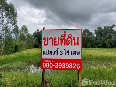 /international/th/ถนน-วุฒาธิคุณ-เพ็ญ-อุดรธานี-41150-ประเทศไทย-เพ็ญ-340105597804/